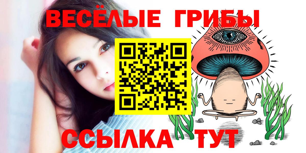 Зима  Псилоцибиновые грибы GOLDEN TEACHER  цены   Вход с VPN 